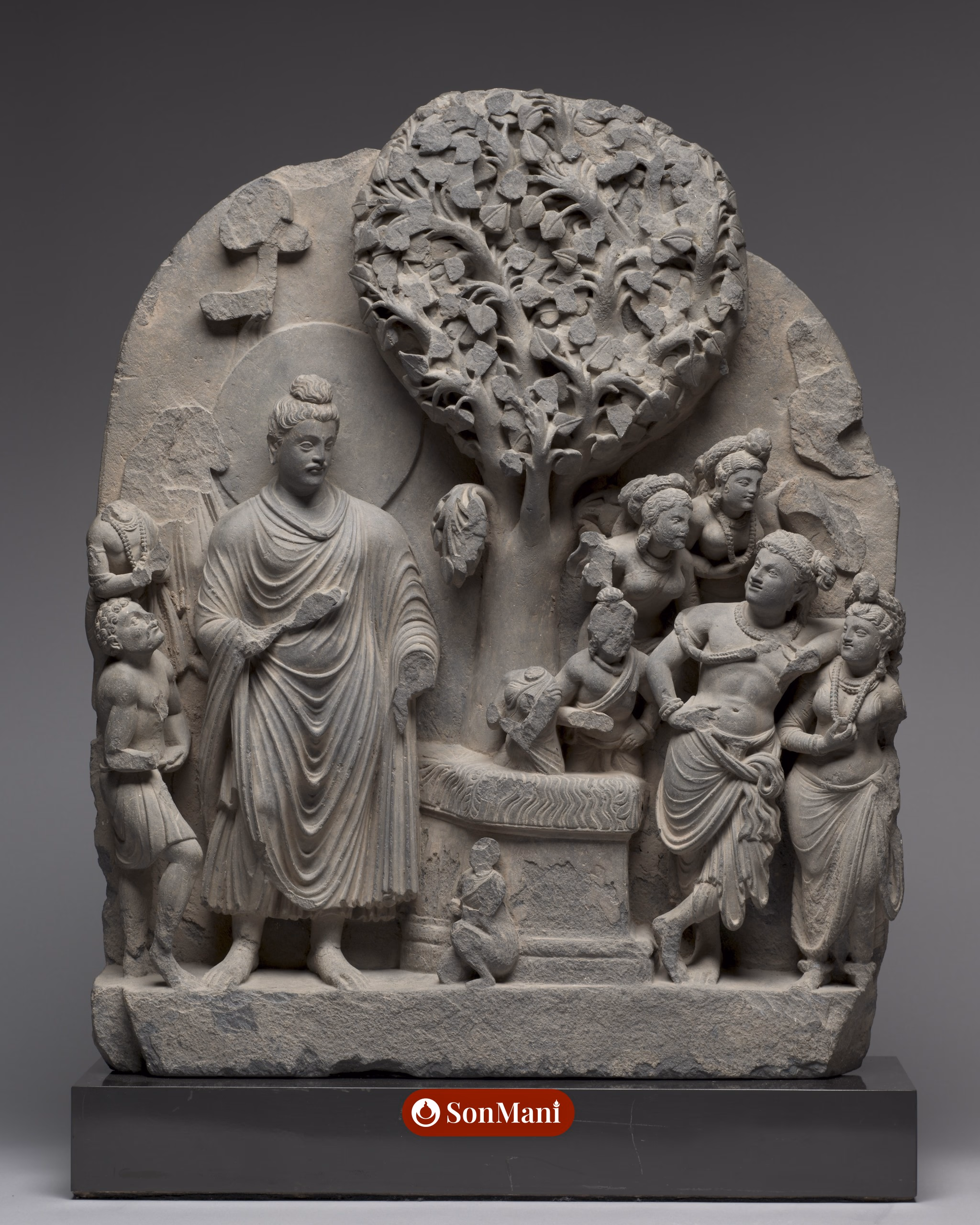 Siddhartha at the Bodhi Tree, Gandhāra, Pakistan, 2nd–3rd century CE